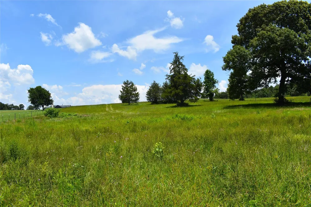 8034 E County Road 212 Buffalo, TX 75831