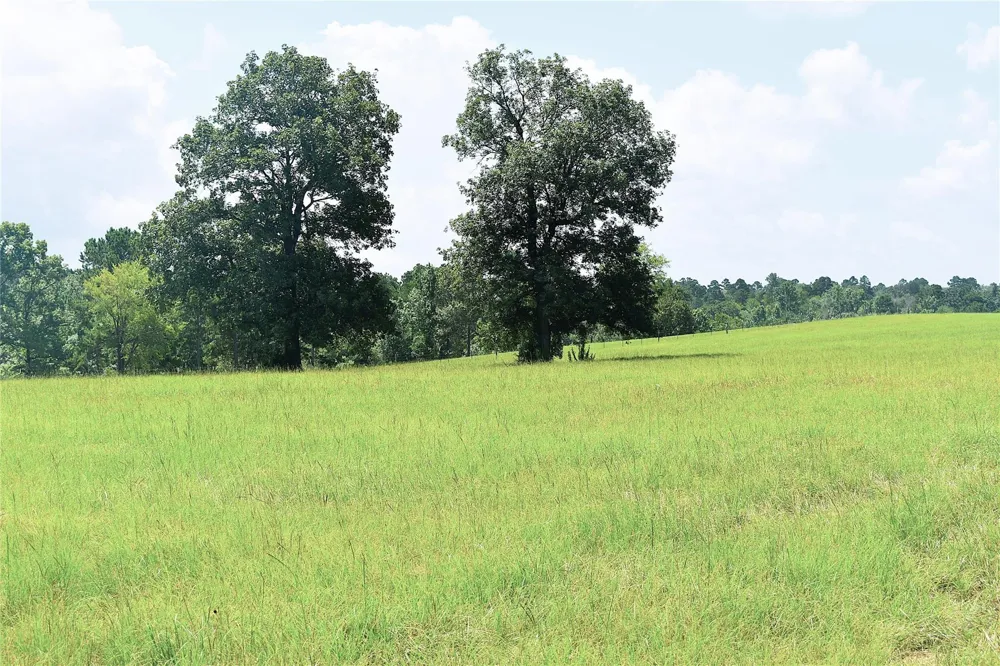 8034 E County Road 212 Buffalo, TX 75831