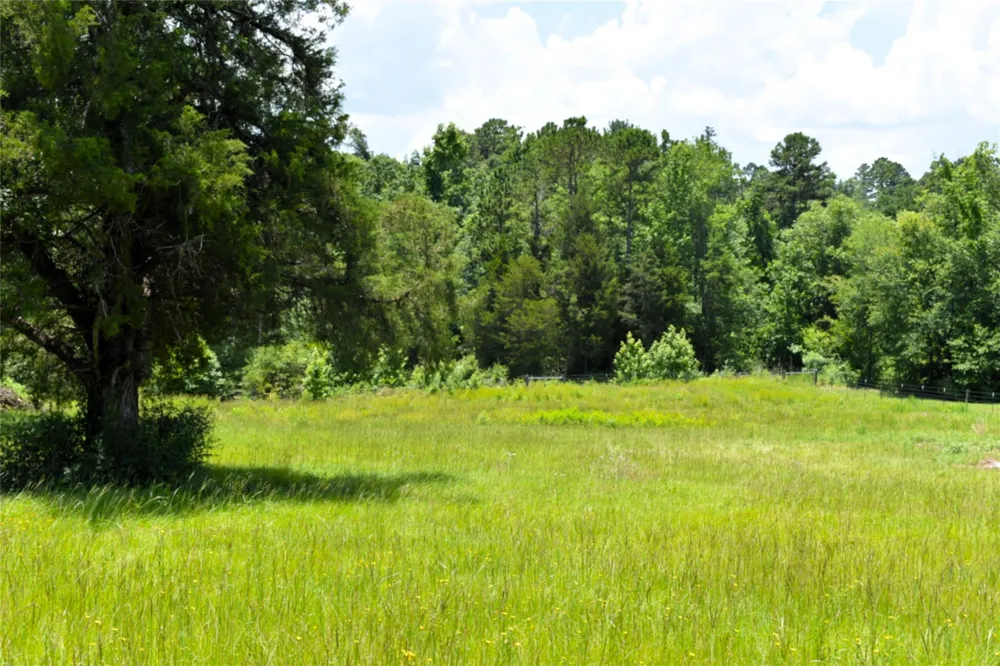 8034 E County Road 212 Buffalo, TX 75831