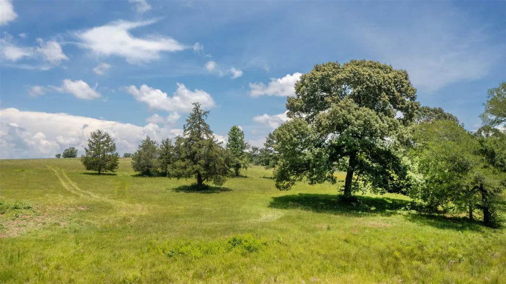 8034 E County Road 212 Buffalo, TX 75831