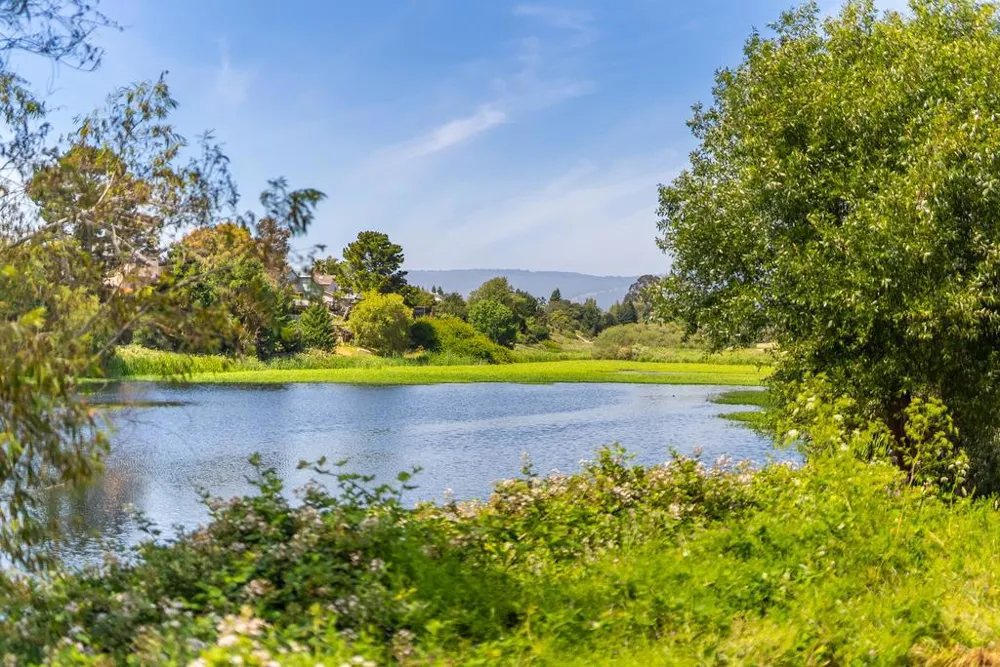 155 Montebello Drive Watsonville, CA 95076