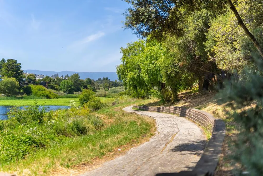 155 Montebello Drive Watsonville, CA 95076
