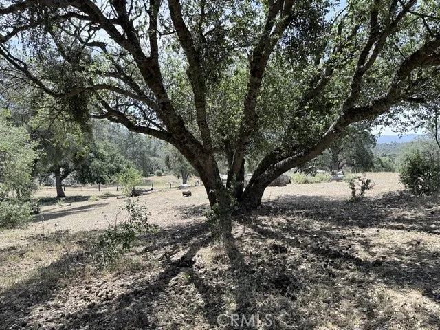 58292 Road 225 North Fork, CA 93643