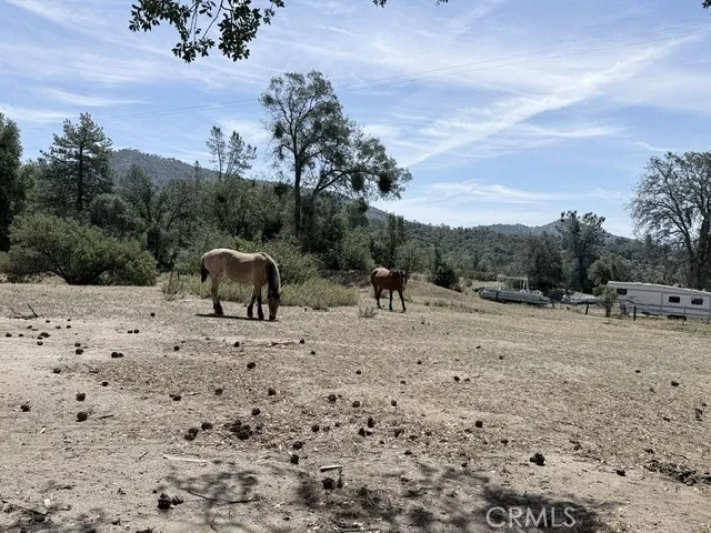 58292 Road 225 North Fork, CA 93643
