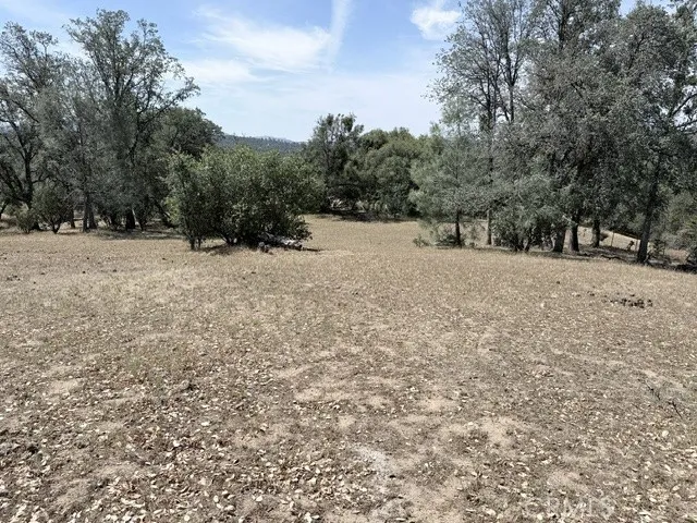 58292 Road 225 North Fork, CA 93643