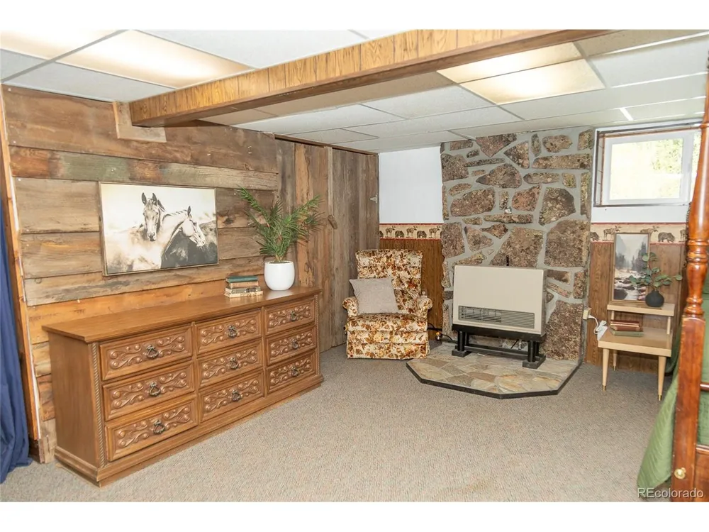 4100 Usfs Rd 515 #460 Creede, CO 81130