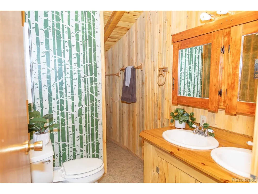 4100 Usfs Rd 515 #460 Creede, CO 81130