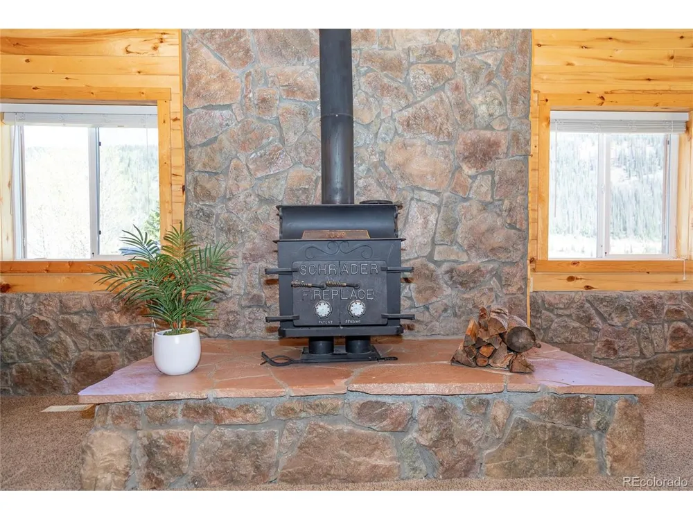 4100 Usfs Rd 515 #460 Creede, CO 81130