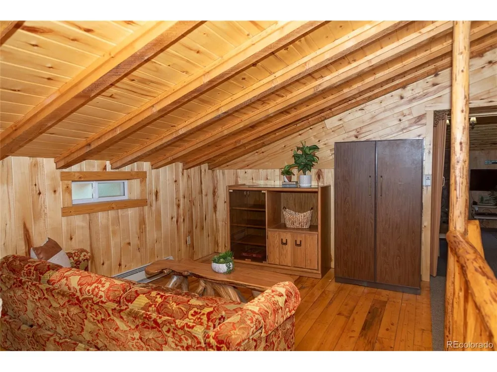 4100 Usfs Rd 515 #460 Creede, CO 81130
