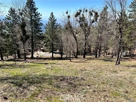 41 Fredalba Road Running Springs, CA 92382