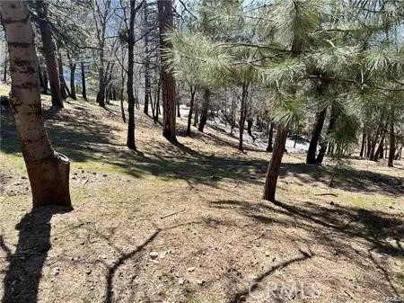 41 Fredalba Road Running Springs, CA 92382