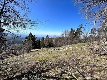 41 Fredalba Road Running Springs, CA 92382