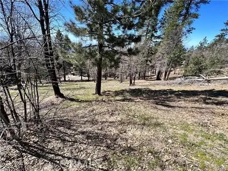 41 Fredalba Road Running Springs, CA 92382