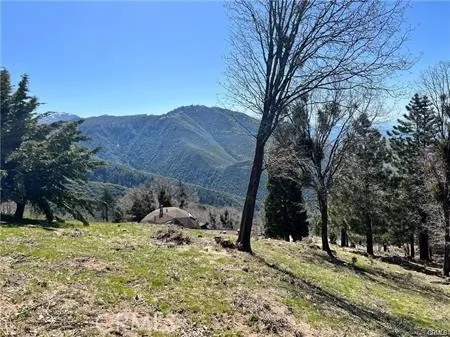 41 Fredalba Road Running Springs, CA 92382