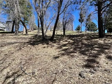 41 Fredalba Road Running Springs, CA 92382