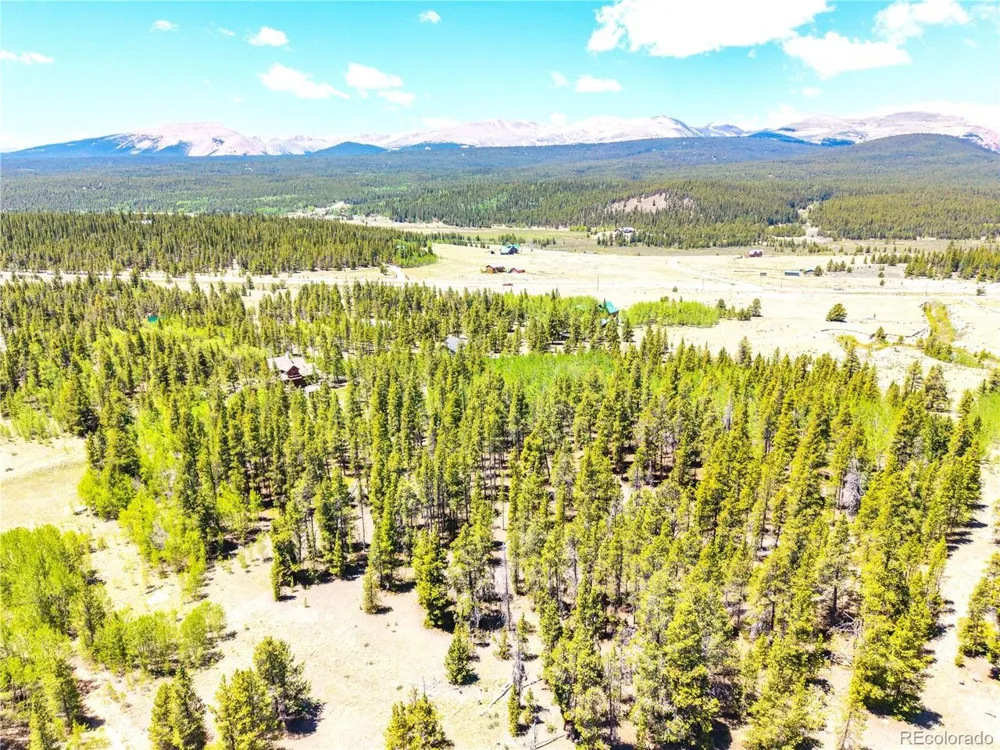 134 Prospect Drive Alma, CO 80420