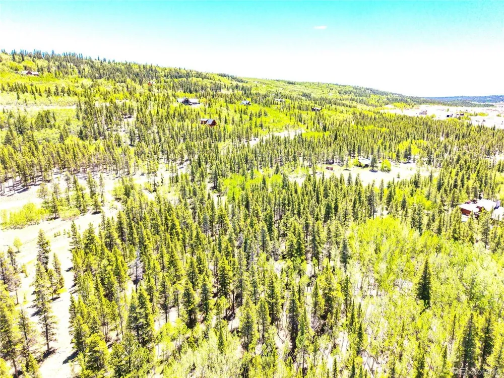 134 Prospect Drive Alma, CO 80420