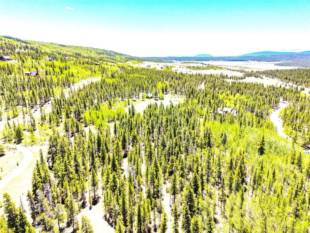 134 Prospect Drive Alma, CO 80420