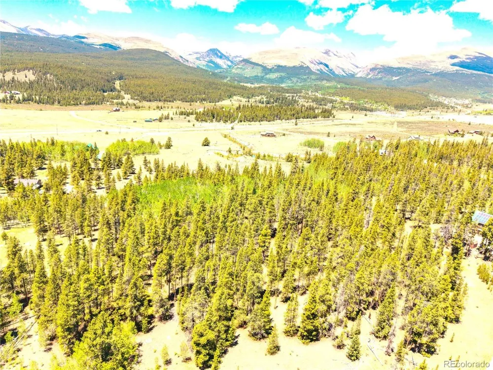 134 Prospect Drive Alma, CO 80420