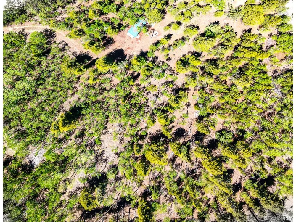 134 Prospect Drive Alma, CO 80420