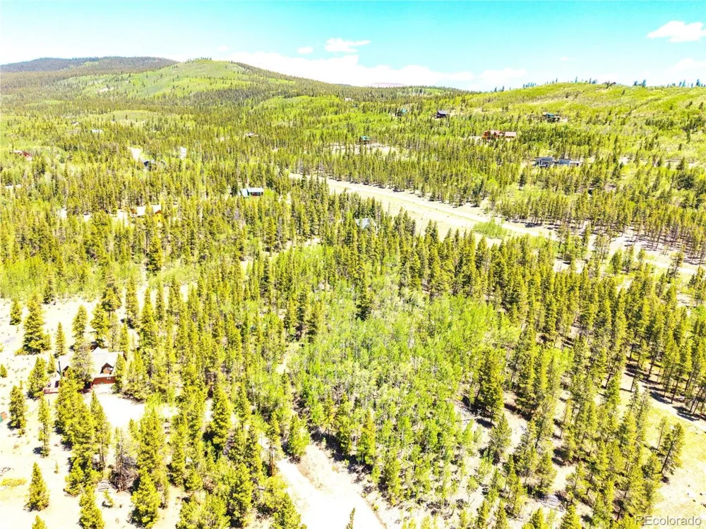 134 Prospect Drive Alma, CO 80420