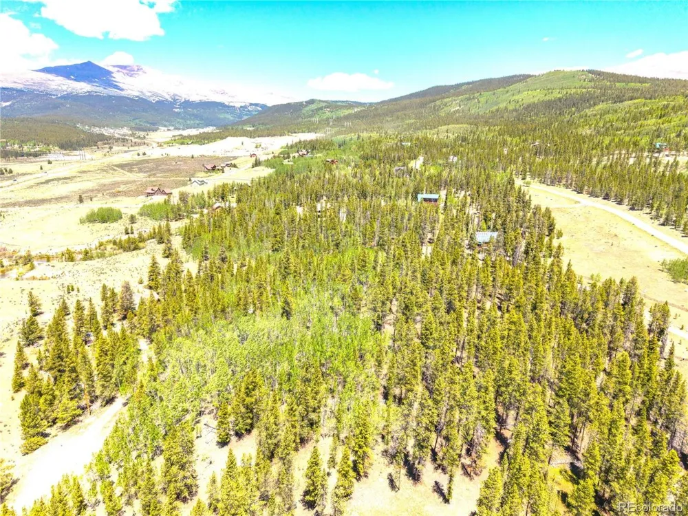 134 Prospect Drive Alma, CO 80420