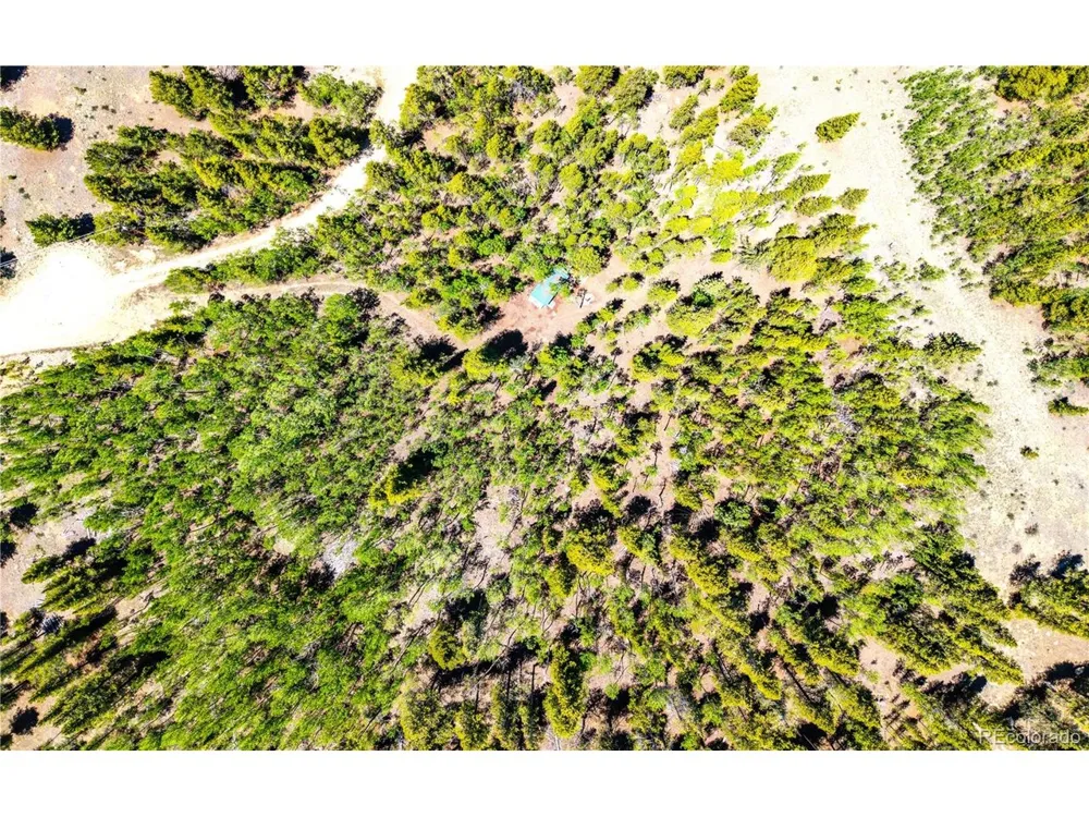 134 Prospect Drive Alma, CO 80420