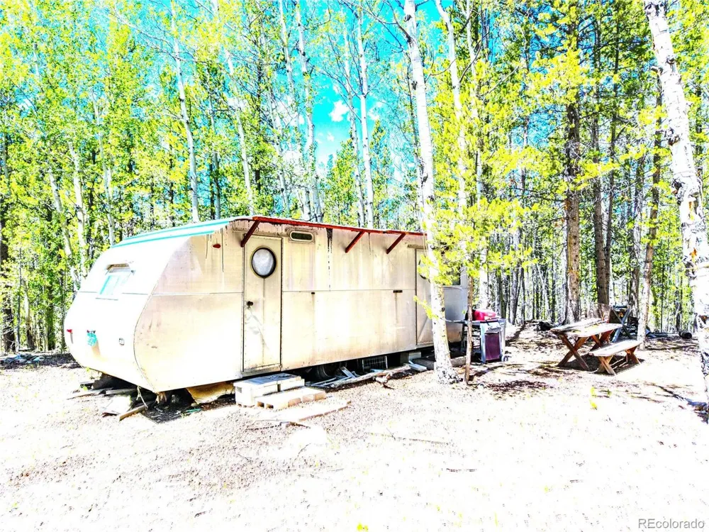 134 Prospect Drive Alma, CO 80420