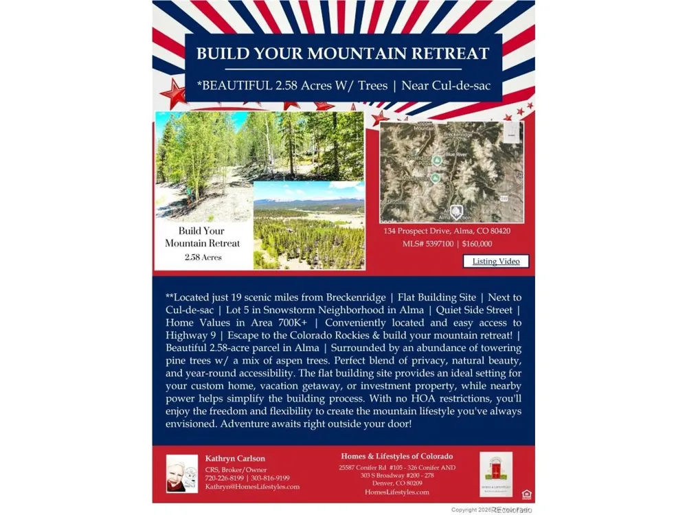 134 Prospect Drive Alma, CO 80420