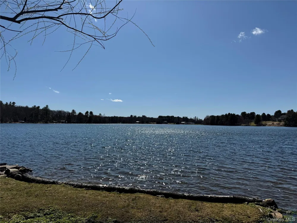Lot 20.8 Airport Road Eldred, NY 12732