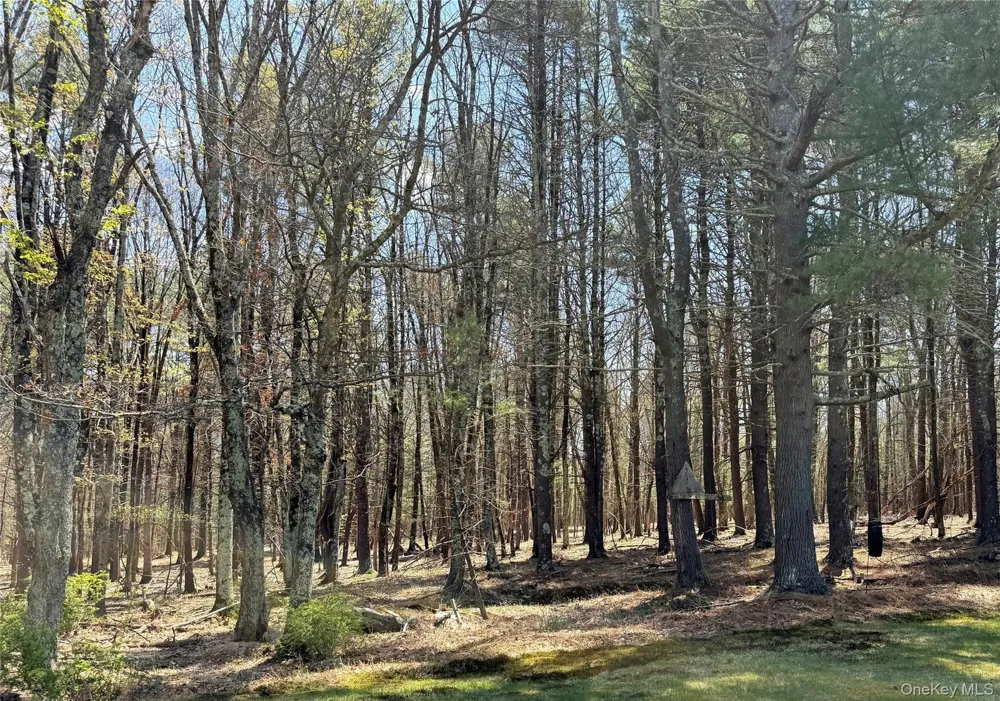 Lot 20.8 Airport Road Eldred, NY 12732