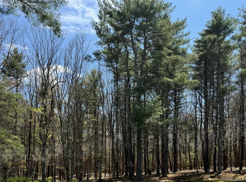 Lot 20.8 Airport Road Eldred, NY 12732