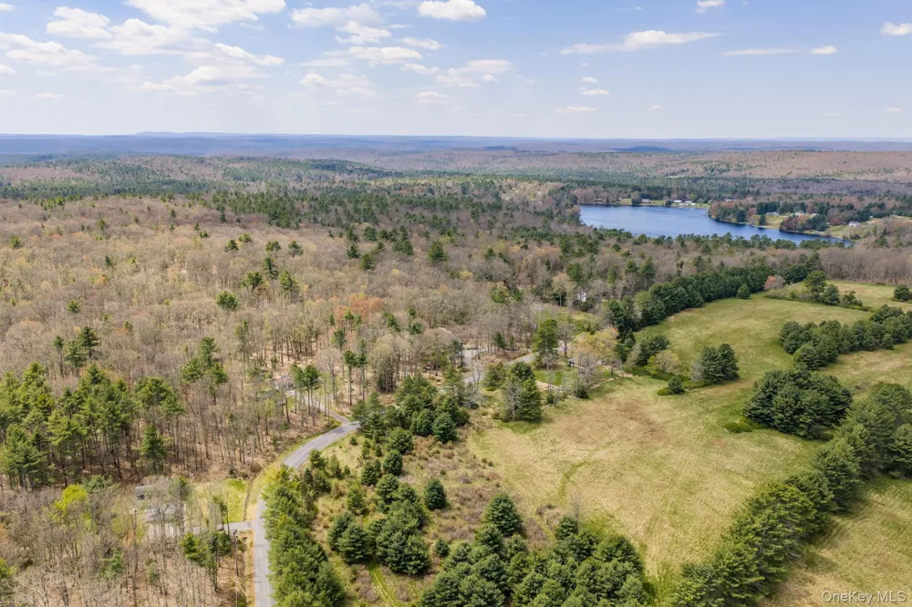 Lot 20.8 Airport Road Eldred, NY 12732