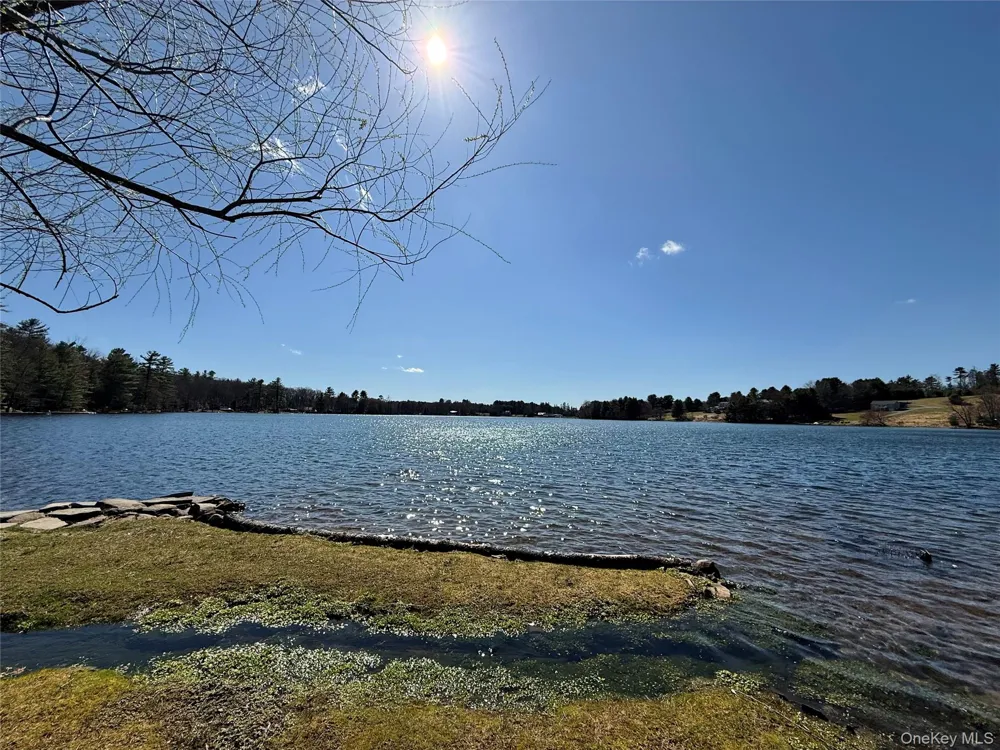 Lot 20.8 Airport Road Eldred, NY 12732