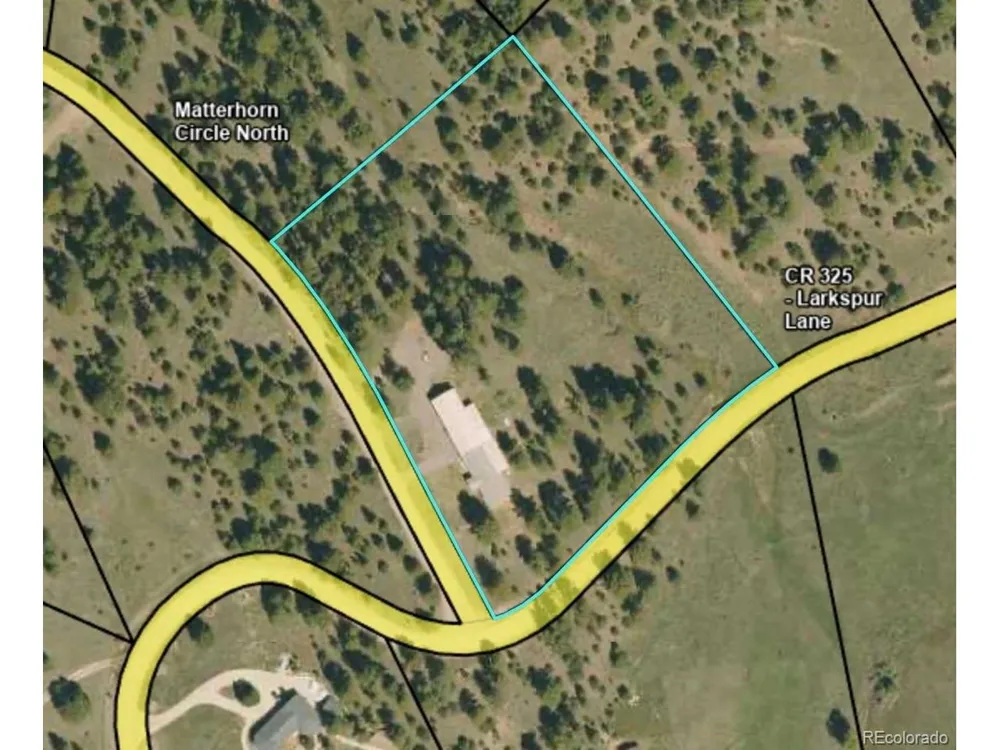 41 Matterhorn Circle Westcliffe, CO 81252