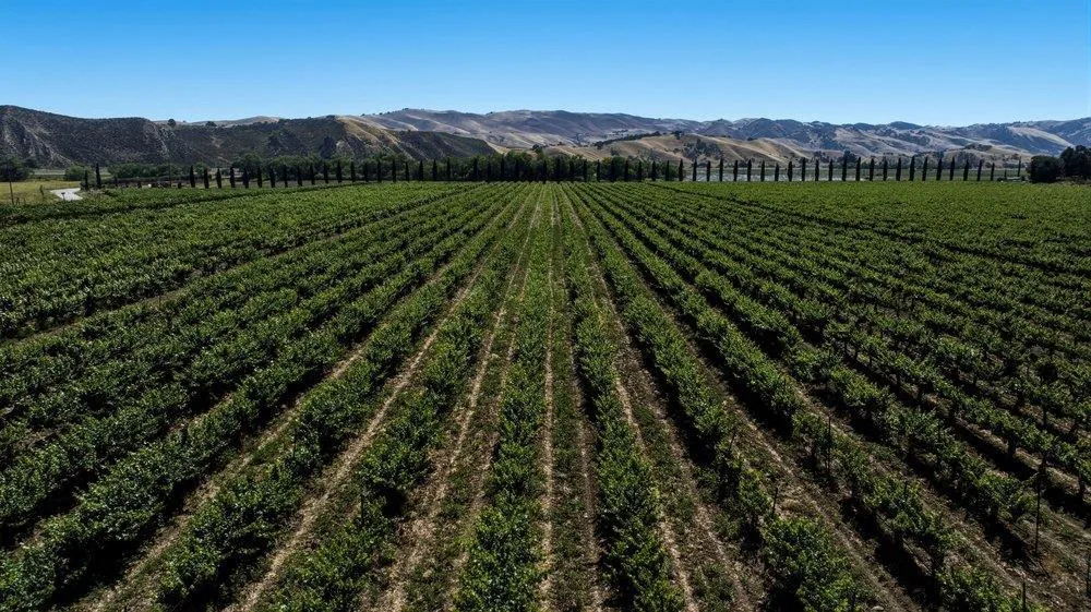 Cienega Road Hollister, CA 95023