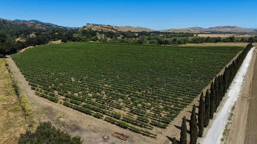 Cienega Road Hollister, CA 95023