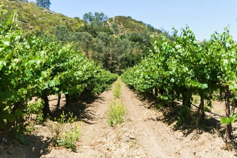Cienega Road Hollister, CA 95023
