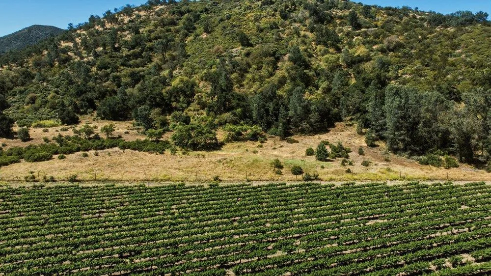Cienega Road Hollister, CA 95023