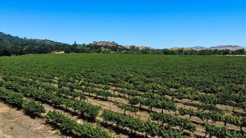 Cienega Road Hollister, CA 95023