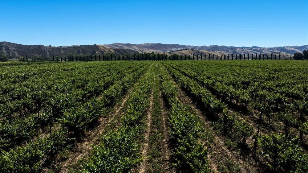 Cienega Road Hollister, CA 95023