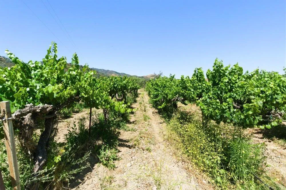 Cienega Road Hollister, CA 95023
