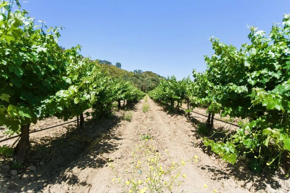 Cienega Road Hollister, CA 95023