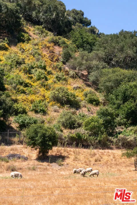 8630 Santa Rosa Road Buellton, CA 93427