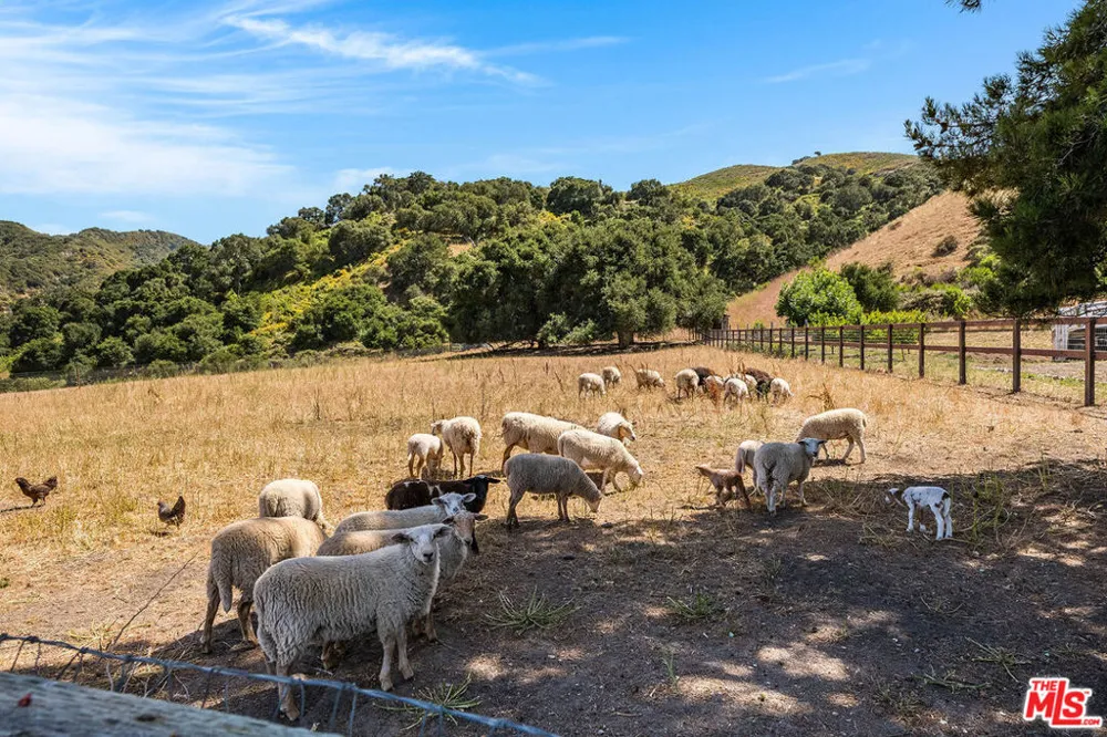 8630 Santa Rosa Road Buellton, CA 93427
