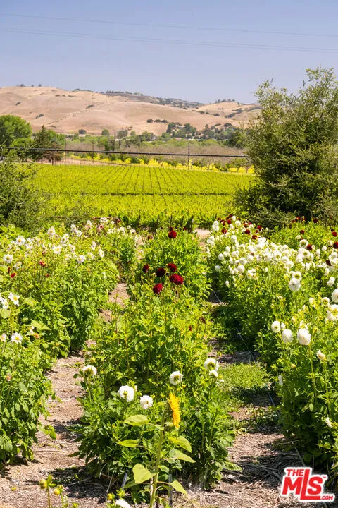 8630 Santa Rosa Road Buellton, CA 93427