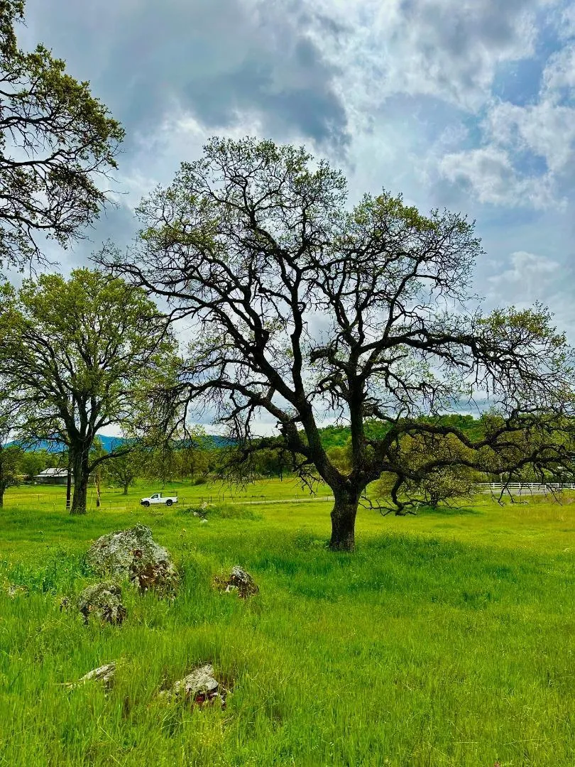 159 Albright Court Angels Camp, CA 95222