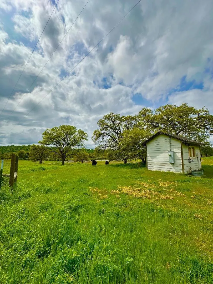159 Albright Court Angels Camp, CA 95222