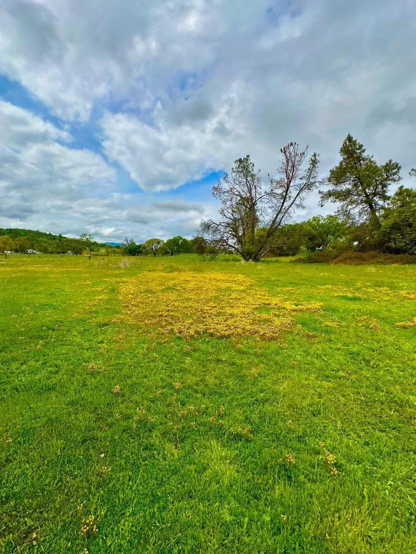 159 Albright Court Angels Camp, CA 95222