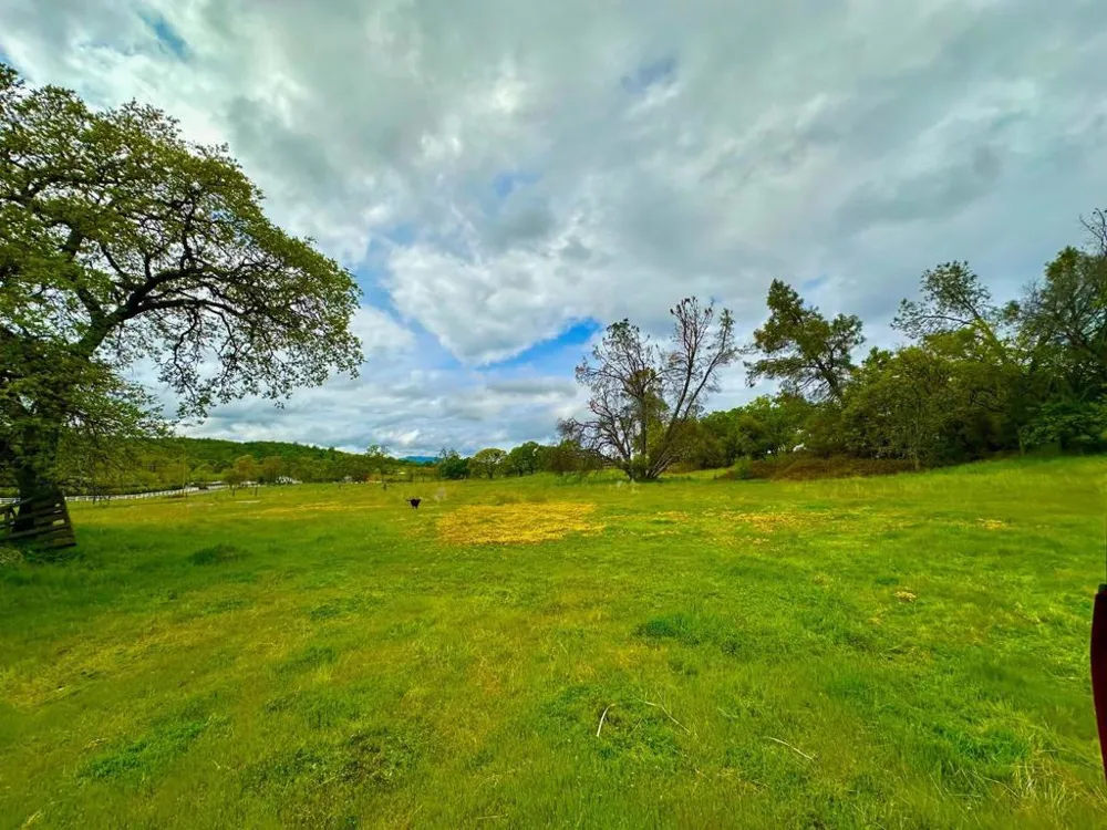159 Albright Court Angels Camp, CA 95222